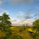 View from Devil's Dyke