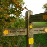 Waymarkers along the route
