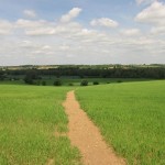 View towards Bures
