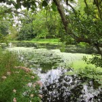 The beautful River Stour